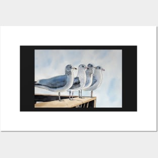 Seagulls sitting by the water Posters and Art